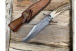 Supreme Wild Antler Damascus Collector's Knife - Image 2