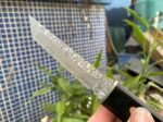 Kendo - Little Samurai ( Damascus Steel ) - Image 6
