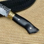 Spartan Dash - Image 6