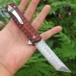 Sourwood [Must Kill] Damascus Folding Knife - Image 3